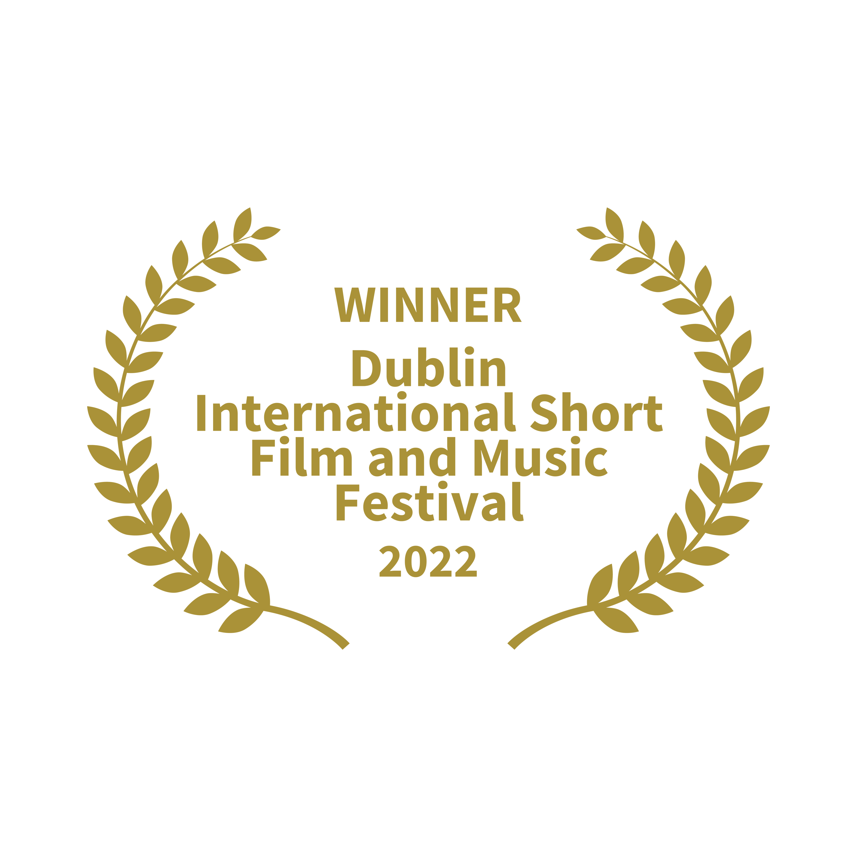 Dublin International Short Film and Music Festival 2022 Winner